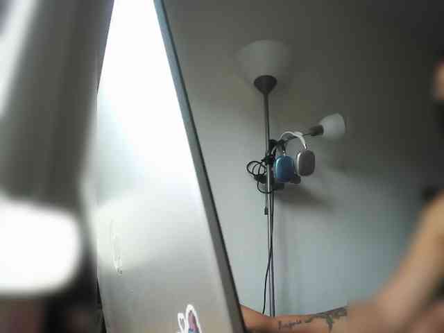 cristalboom webcam