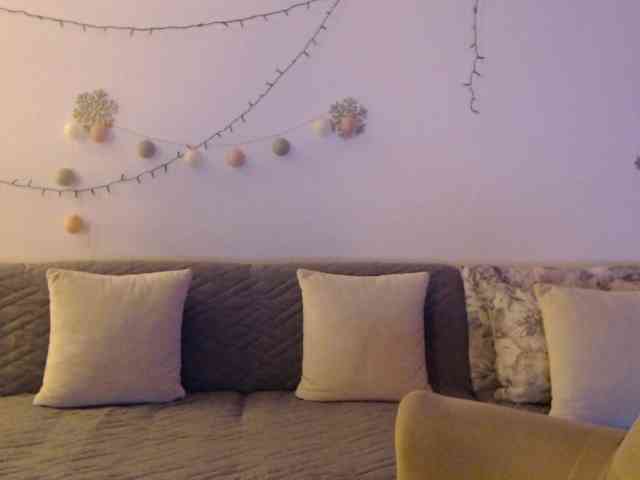 goodSnowQueen webcam
