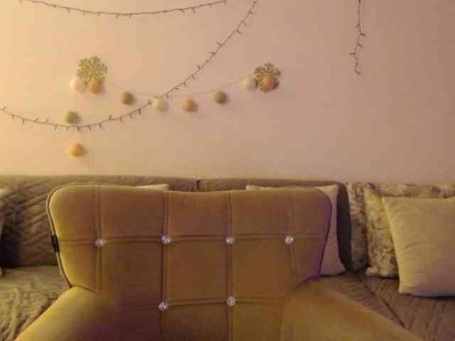 goodSnowQueen webcam