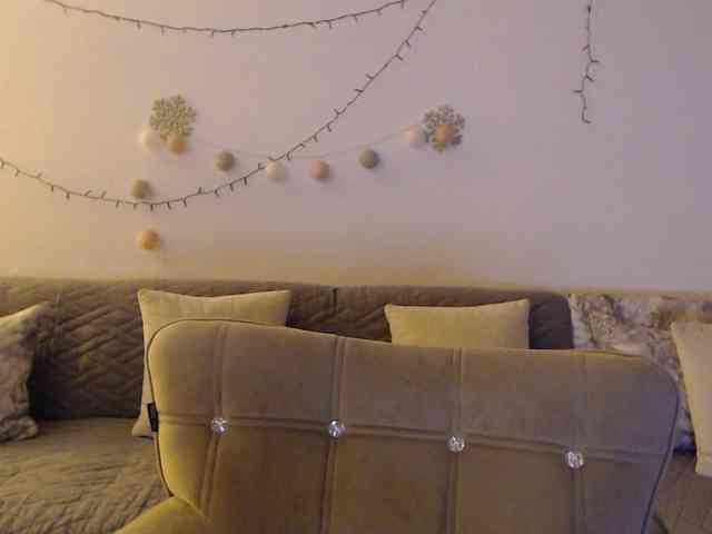 goodSnowQueen webcam