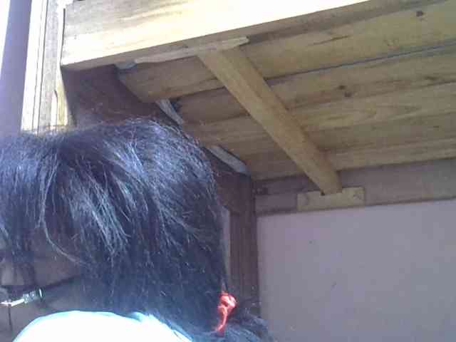 Angelinah75 Live Webcam on BongaCams