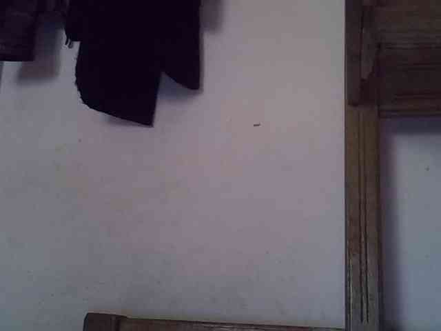 Angelinah75 webcam