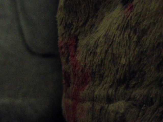 Yanikkka's BongaCams show and profile