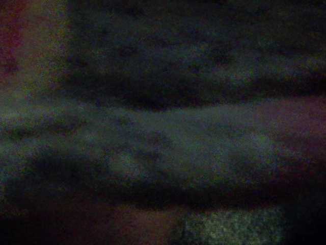 _Annika_