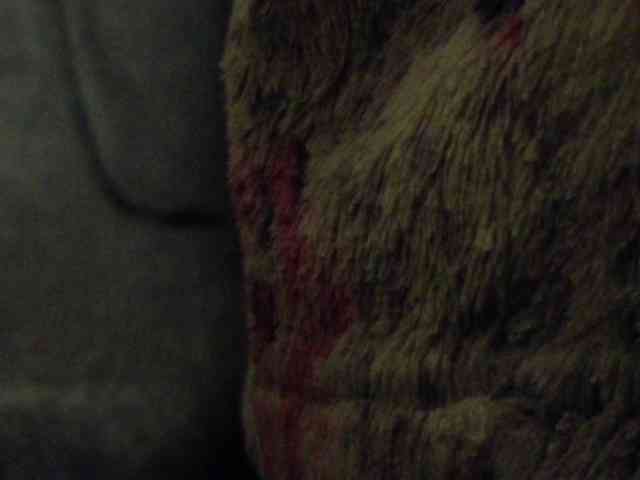 Golden_Lady_Anuta webcam