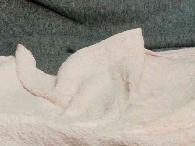 Lady_Anuta webcam