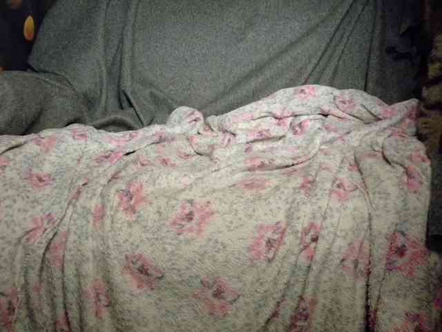 Lady_Anuta webcam