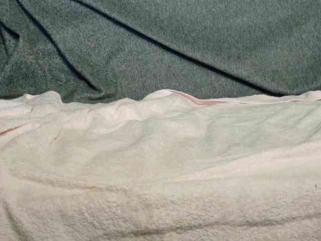 Lady_Anuta webcam