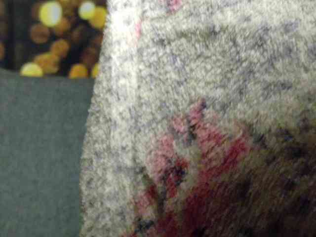 Golden_Lady_Anuta webcam