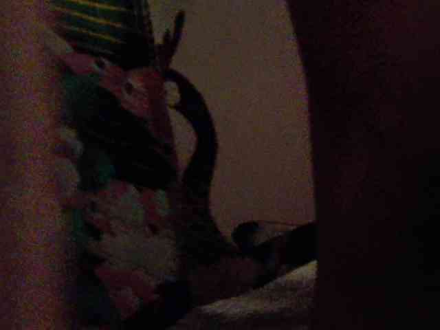 Lady_Anuta webcam