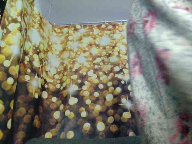 Golden_Lady_Anuta webcam