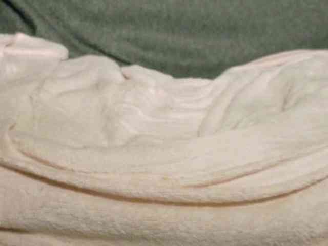 Lady_Anuta webcam