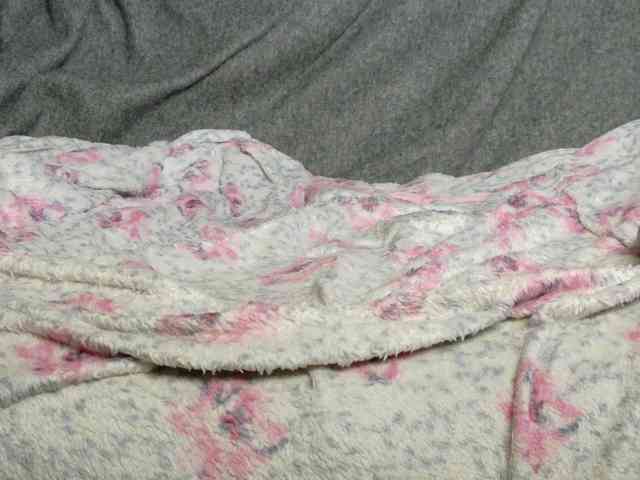 Lady_Anuta webcam