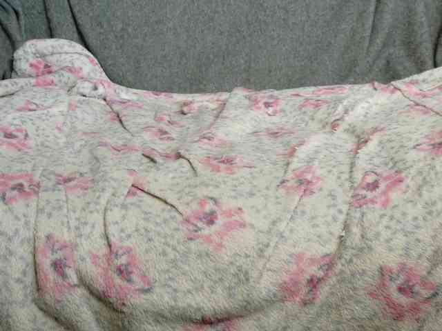 Lady_Anuta webcam