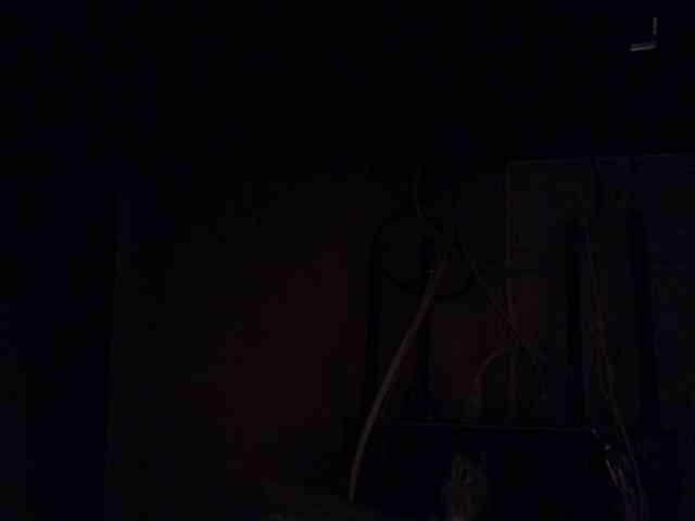 Lady_Anuta webcam