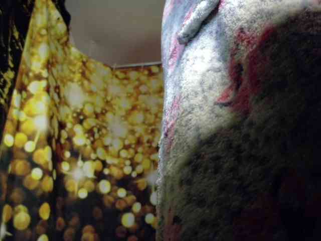 Golden_Lady_Anuta webcam