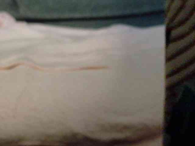 Lady_Anuta webcam