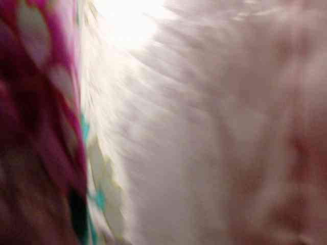 Lady_Anuta webcam