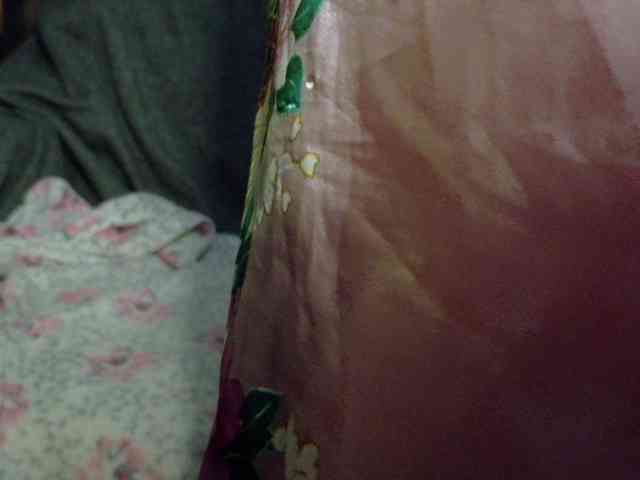 Lady_Anuta webcam