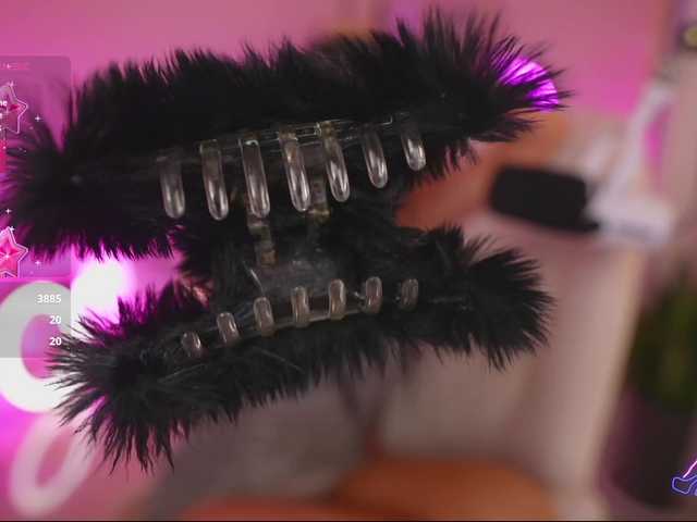 thecatt