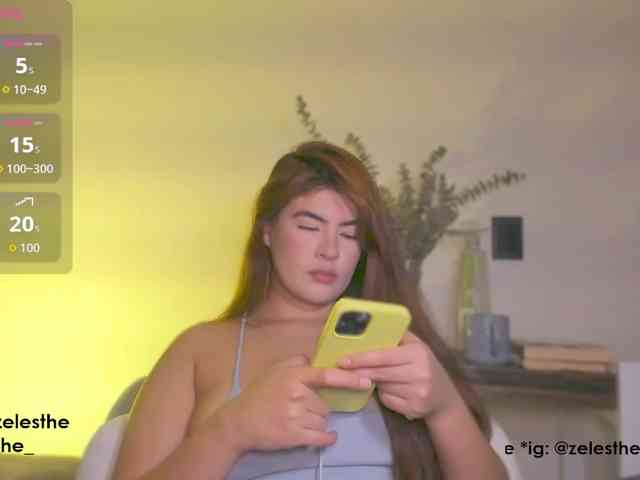 Zelesthe webcam