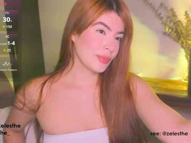 Zelesthe webcam