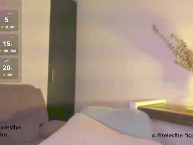 Zelesthe webcam