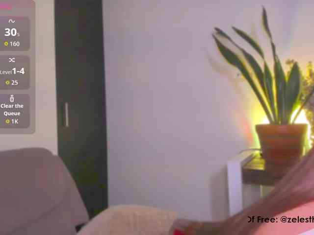 Zelesthe webcam