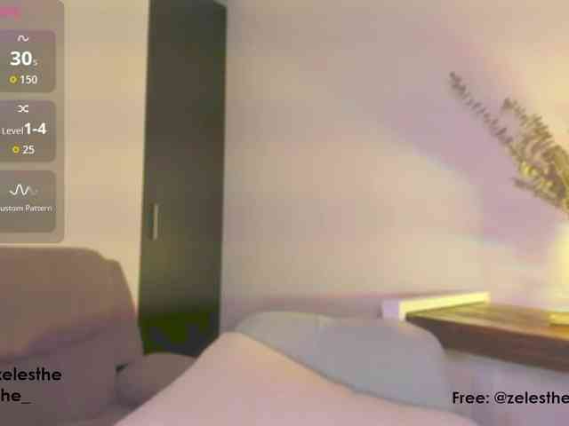 Zelesthe webcam