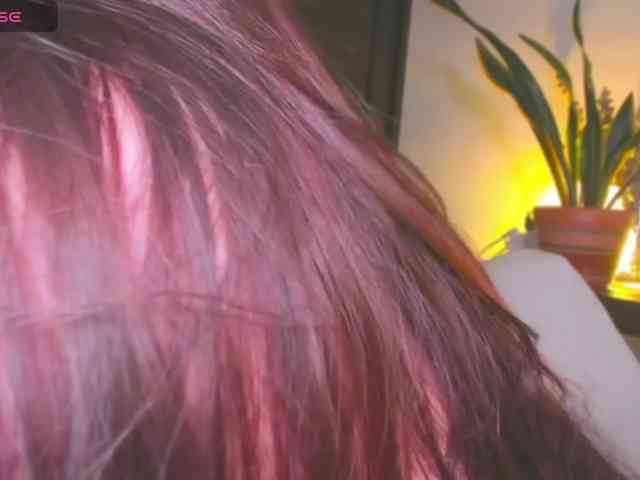 Zelesthe webcam