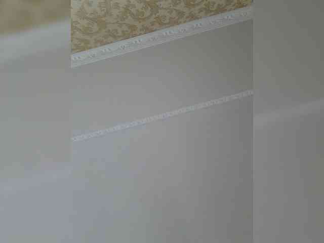 fish_coyc webcam