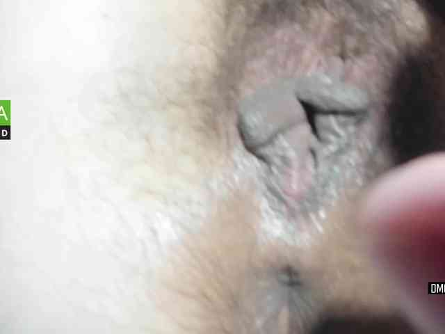 _Luna webcam