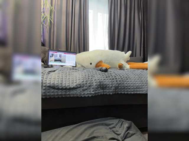 Vero19nika's BongaCams show and profile