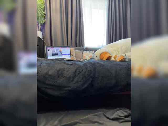 cool-party webcam