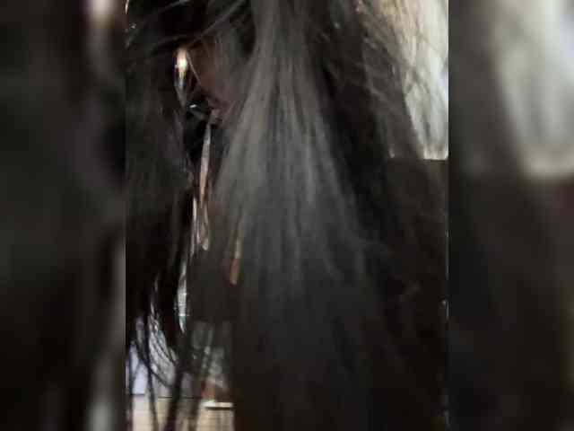 Model: MagicMelody