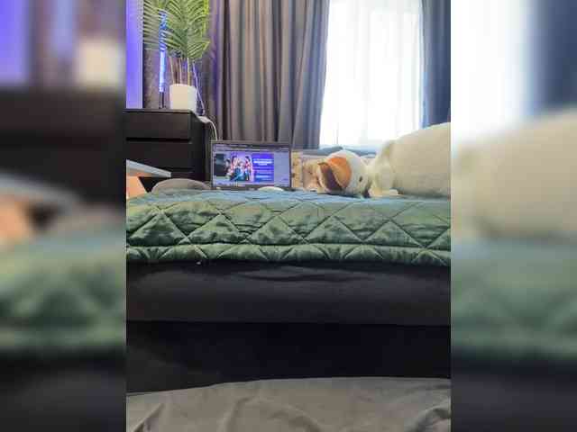 MagicMelody webcam