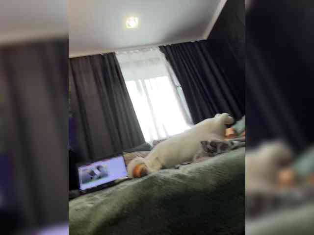 Vero19nika Live Webcam on BongaCams
