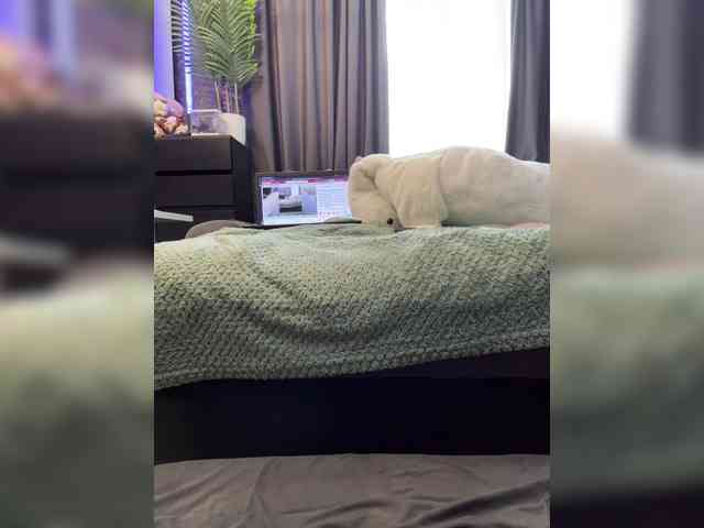 cool-party webcam