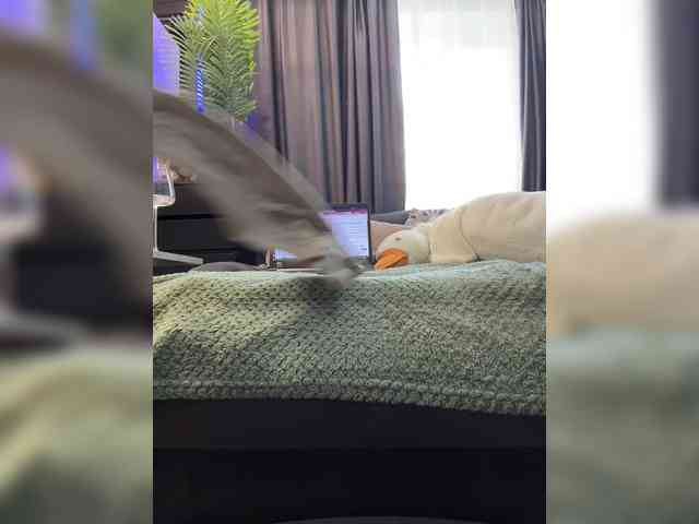 naked webcam Vero19nika