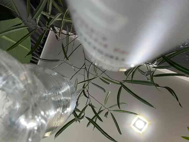 Модель: MagicMelody