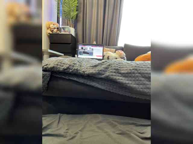 cool-party webcam
