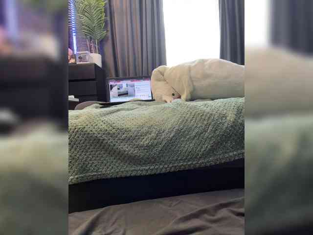 cool-party webcam