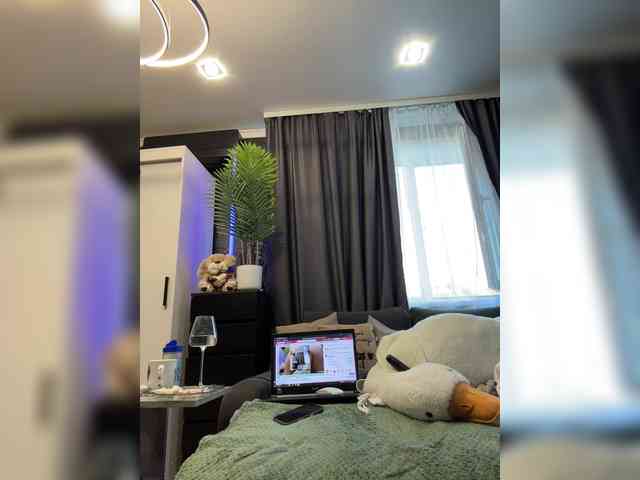 cool-party webcam