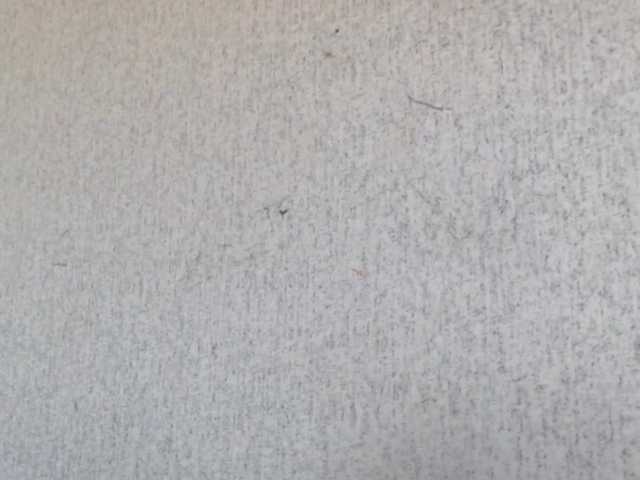 Gospozha-77's BongaCams show and profile