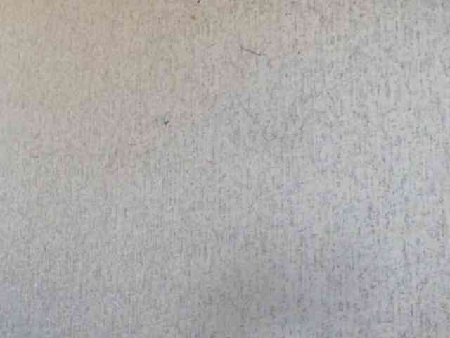 Gospozha-888 webcam