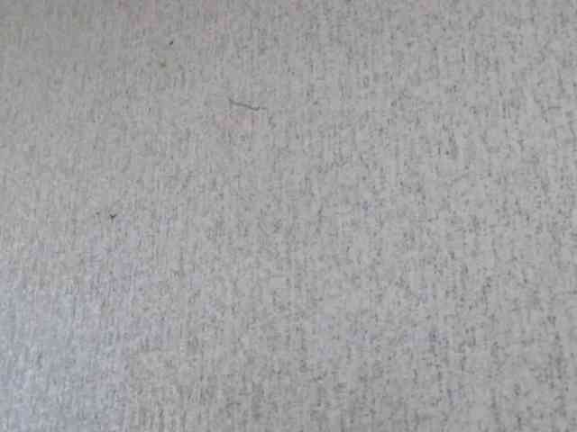 Gospozha-888 webcam
