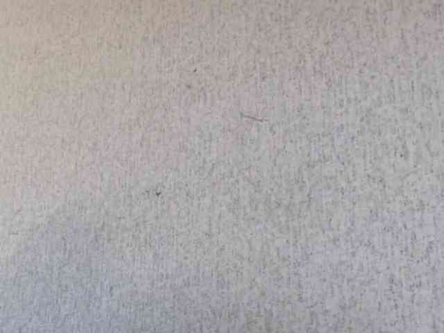 Gospozha-888 webcam