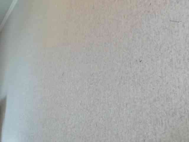 Gospozha-888 webcam