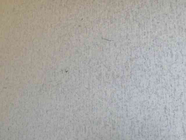 Gospozha-888 webcam