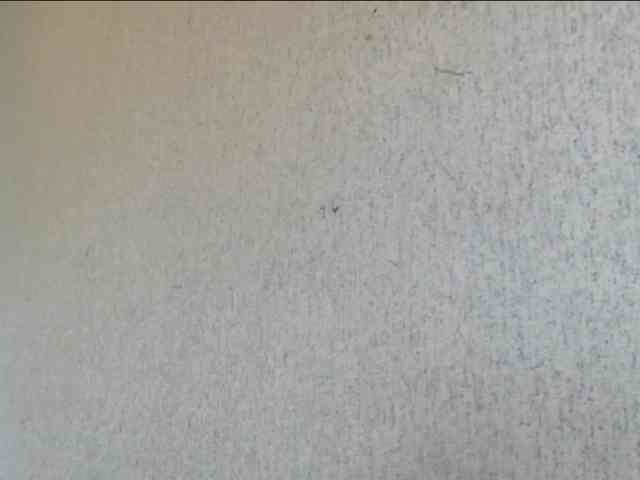 Gospozha-888 webcam